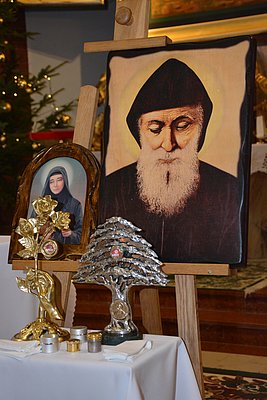 charbel rawka