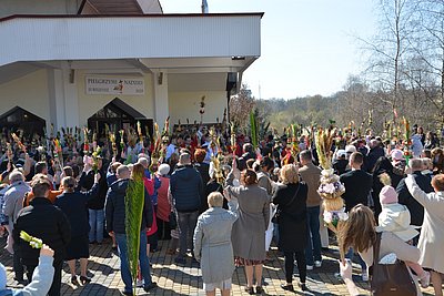 palmowa